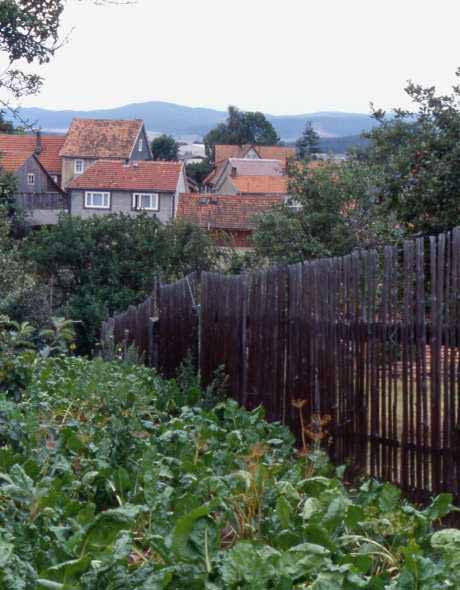 grafenau in eastern germany